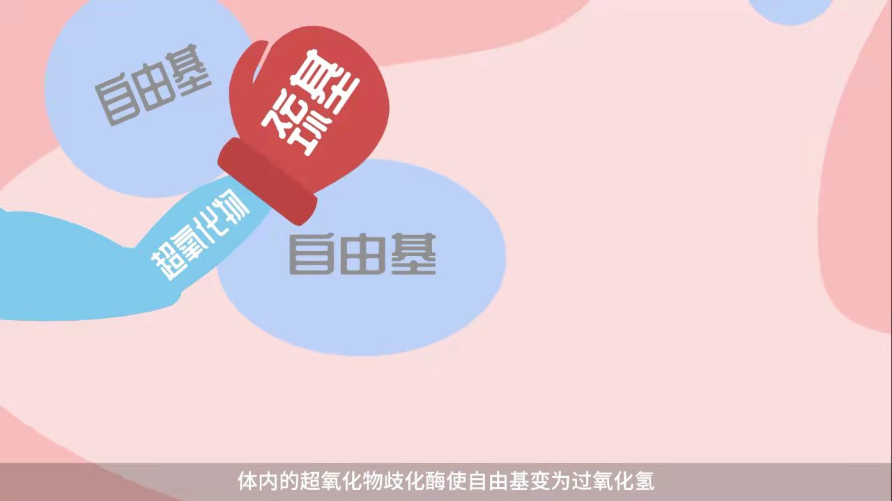 鼎博·(中国游)有限公司官网