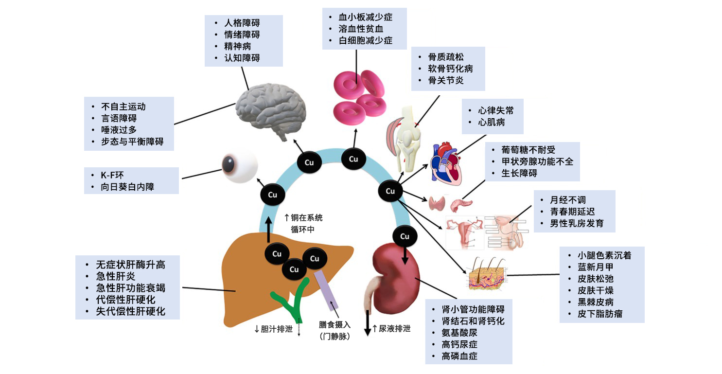 鼎博·(中国游)有限公司官网